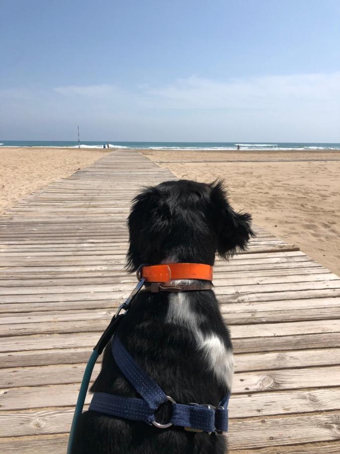 Hugo Beach Hotel & Apartments 간디아 외부 사진